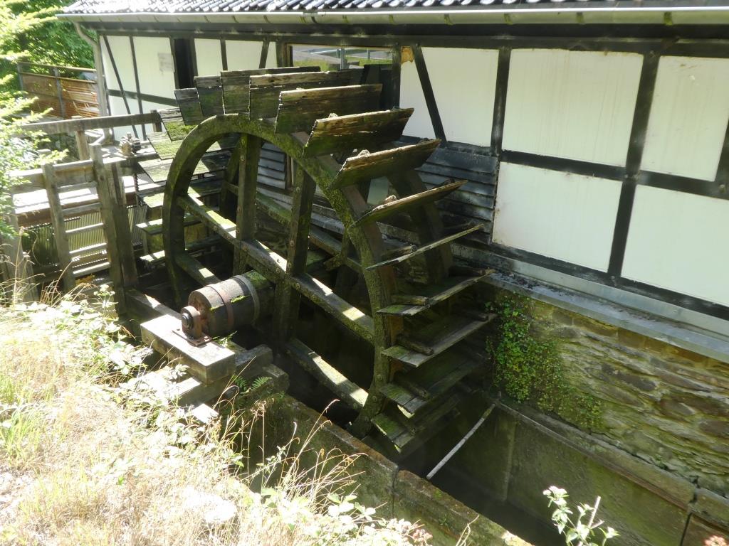 Balkhauser Kotten - 2019